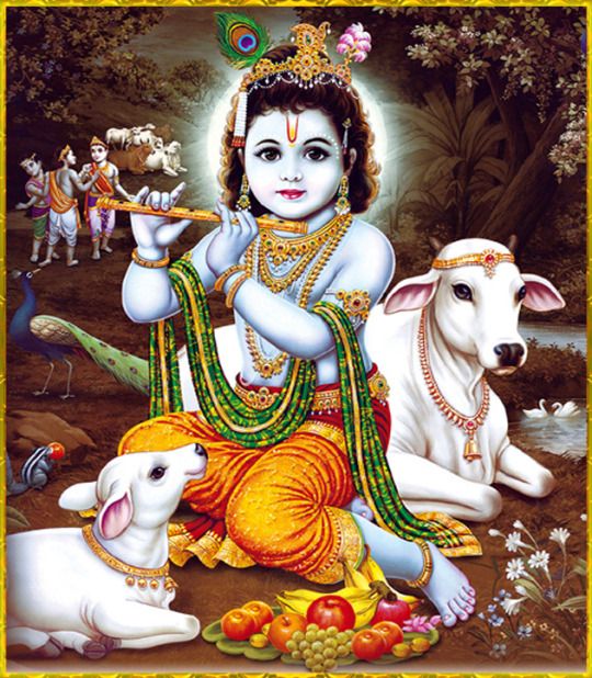 krishna-wallpaper-photos