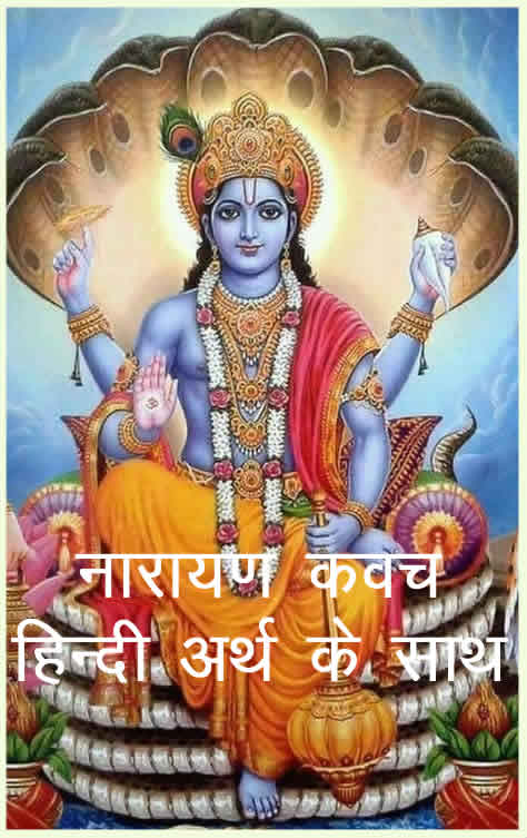 Narayan Kavach In Hindi PDF Download